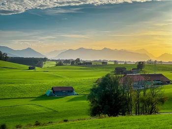 Scenic view of agricultural field against sky