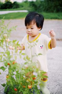 Full length of cute baby girl standing on flowering plant