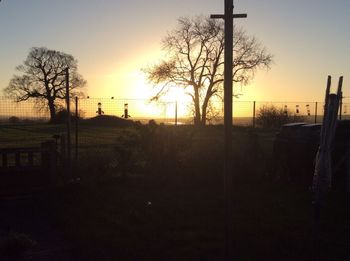 Bare trees on field at sunset
