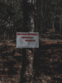 Information sign on tree trunk in forest