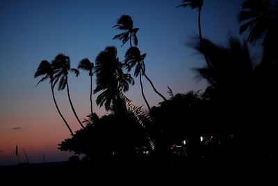 Silhouette palm trees at sunset