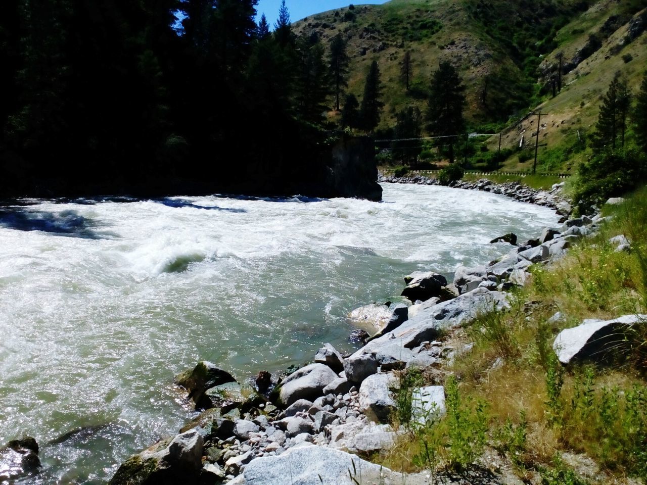 SCENIC VIEW OF RIVER AMIDST TREES IN FOREST