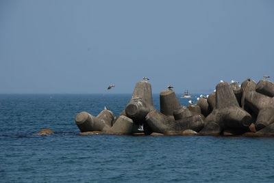 Rocks in sea against clear sky