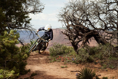 Cyclist riding bicycle on dirt road in forest