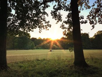 Silhouette trees on field against sky during sunset