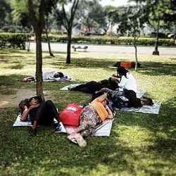 People relaxing in park