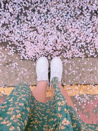 Low section of woman standing on cherry blossom