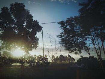 Silhouette trees against sky during sunset