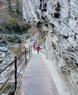 Rear view of childrens walking on footbridge