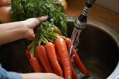 Cropped hand of person holding vegetables