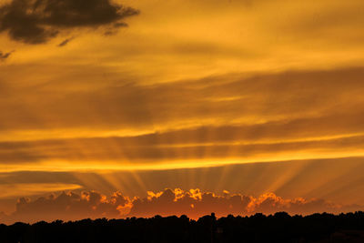 Silhouette trees against sky during sunset