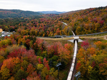 High angle view of trees and plants during autumn