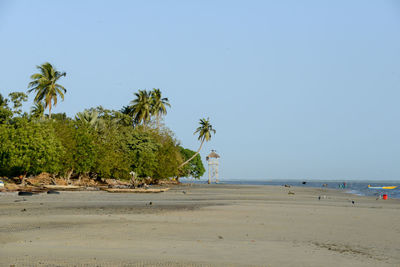 Scenic view of beach against clear sky