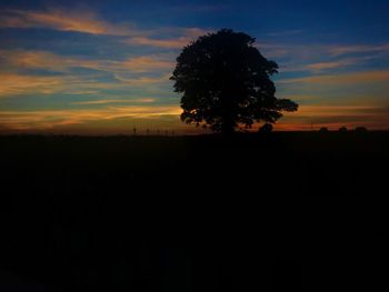 Silhouette trees on field against sky during sunset