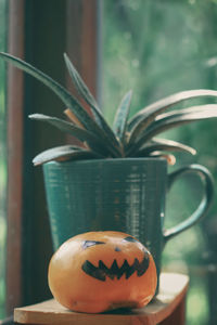 Close-up of pumpkin on potted plant