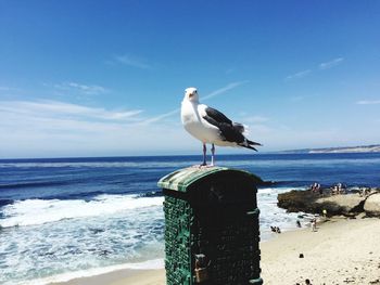 Seagull perching on old mailbox at beach against sky