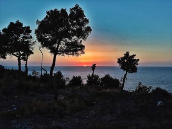 Silhouette trees on beach against sky during sunset