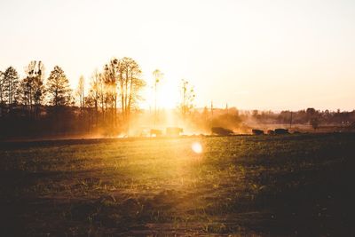 Scenic view of field against clear sky during sunset