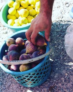 High angle view of hand holding fruits in basket