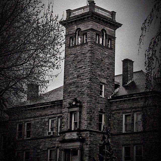 architecture, building exterior, built structure, low angle view, window, bare tree, building, city, sky, residential building, residential structure, outdoors, day, tree, no people, street light, facade, tower, branch, brick wall