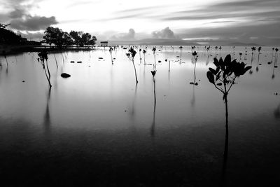 Scenic view of lake against sky