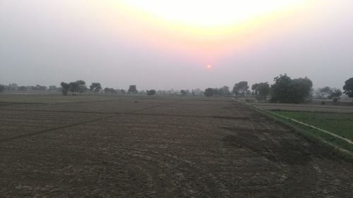 Scenic view of field against sky at sunset