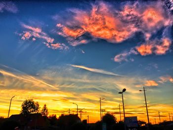 Silhouette of trees at sunset