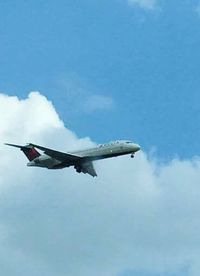 Low angle view of bird flying against blue sky