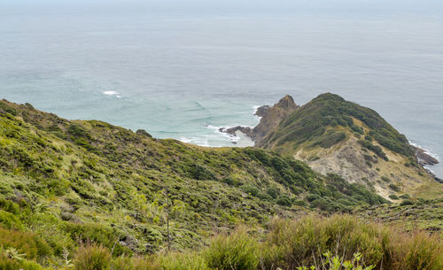 Coastal scenery around cape reinga at the north island in new zealand