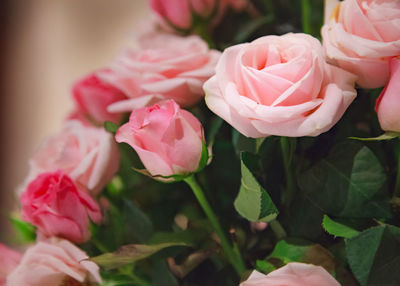 Close-up of pink rose bouquet