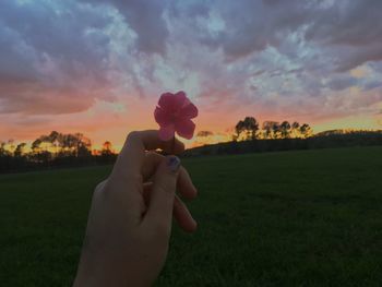 Midsection of man holding flower on field against sky at sunset