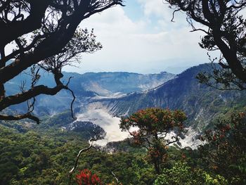 Scenic view of tree mountains against sky