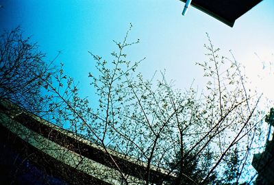 Low angle view of built structure against blue sky