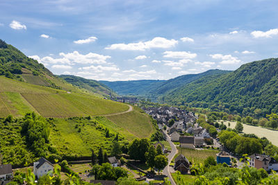 Beautiful, ripening vineyards in the spring season in western germany in the background of blue sky.