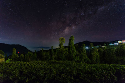 Scenic view of trees against sky at night