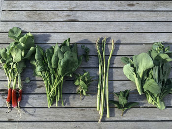 Directly above shot of vegetables on boardwalk