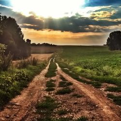 Dirt road passing through field