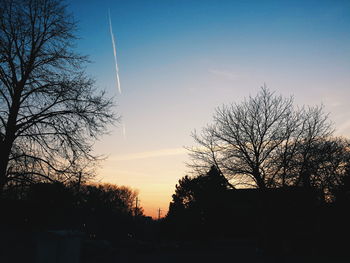 Low angle view of bare trees against sky