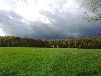 Scenic view of grassy field against cloudy sky