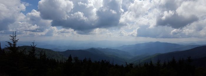 Panoramic view of forest against sky