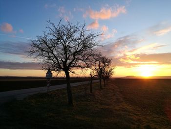 Bare tree on landscape against sky during sunset