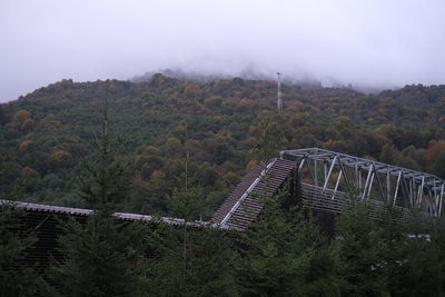 Bridge in forest against sky