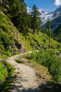 Scenic view of mountain against trees