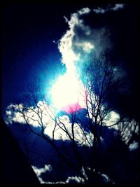 Low angle view of bare trees against sky