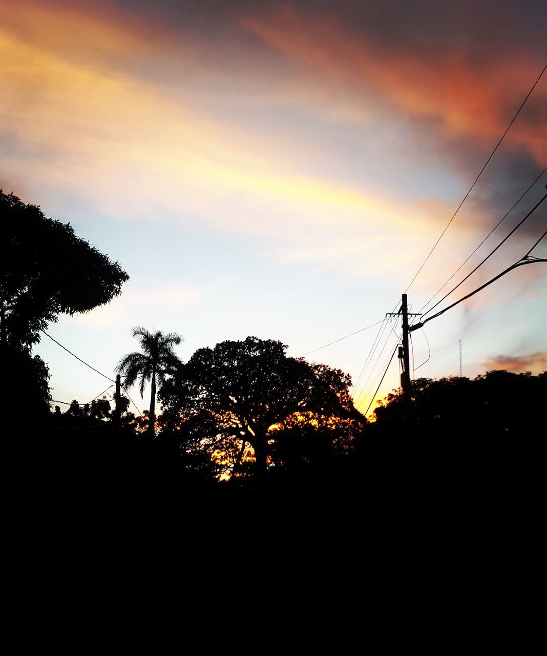 LOW ANGLE VIEW OF SILHOUETTE TREES AGAINST SKY