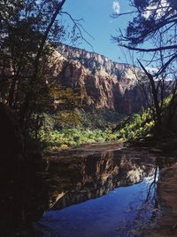 Scenic view of forest against sky