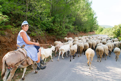 Group of people riding horses on road