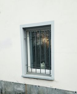 Window of building