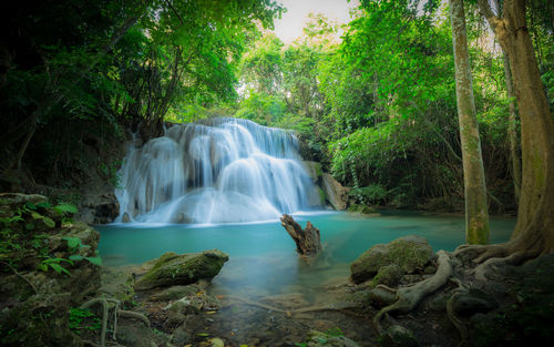 Scenic view of waterfall in forest