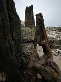 Rock formation amidst trees against sky